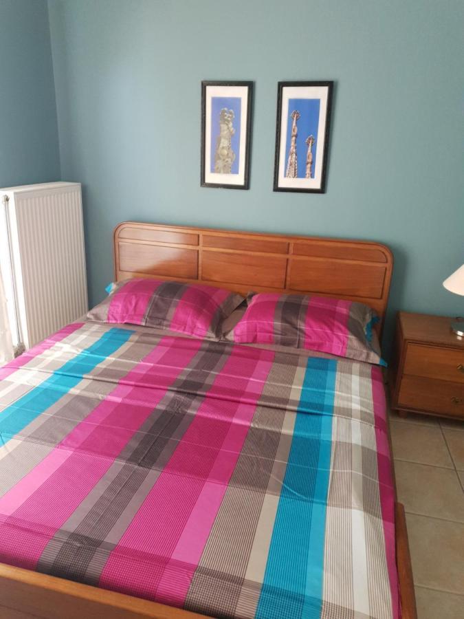 Comfortable Apartment In The Center Of Volos Very Close To The Port Екстер'єр фото